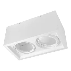 Aplique Plafón BOX Cardánico 2 Luces AR111 Blanco o Negro JIELI