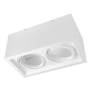 Aplique Plafón BOX Cardánico 2 Luces AR111 Blanco o Negro JIELI