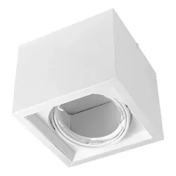 Aplique Plafón BOX Cardánico 1 Luz AR111 Blanco o Negro JIELI