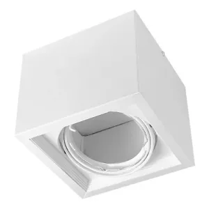 Aplique Plafón BOX Cardánico 1 Luz AR111 Blanco o Negro JIELI