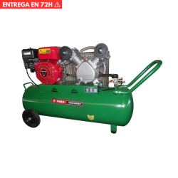 Compresor 55100 5.5HPx100Lts 4 Tiempos FEMA
